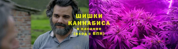 спайс Алзамай