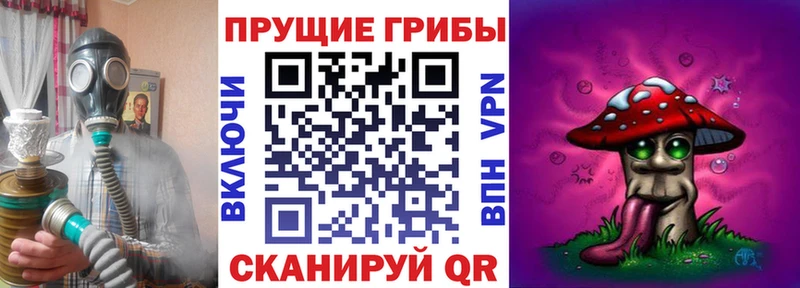 Псилоцибиновые грибы MAGIC MUSHROOMS  кракен зеркало  Пыталово 